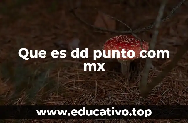 Que es dd punto com mx