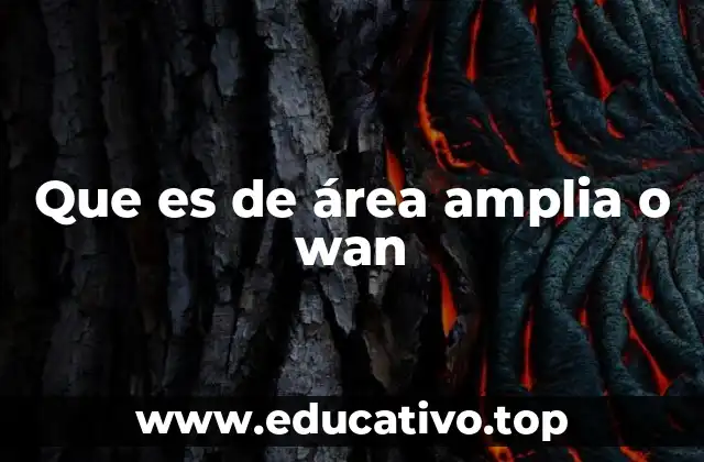 Que es de área amplia o wan