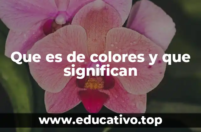 La importancia del color en la naturaleza y en la vida cotidiana