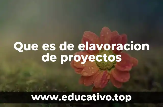 Que es de elavoracion de proyectos