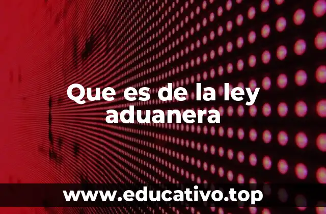 Que es de la ley aduanera