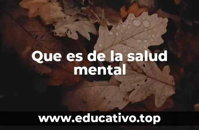 Que es de la salud mental
