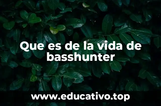 De la fama a la controversia: la vida pública de Basshunter