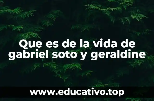 Que es de la vida de gabriel soto y geraldine