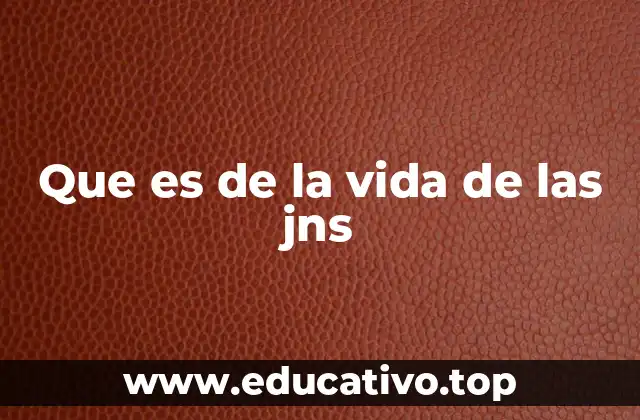 Que es de la vida de las jns