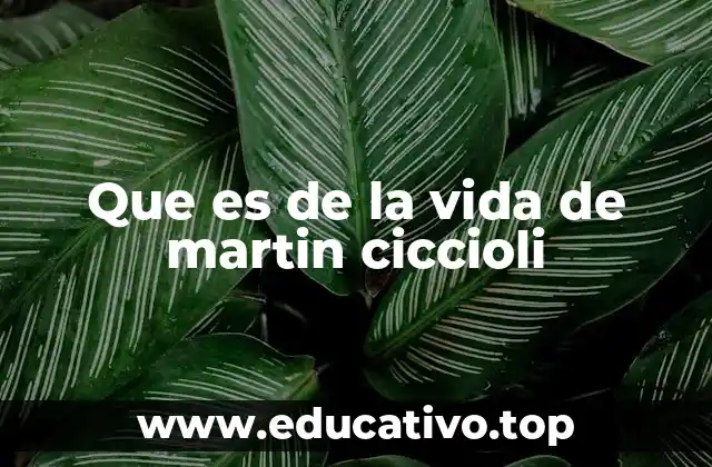 Que es de la vida de martin ciccioli
