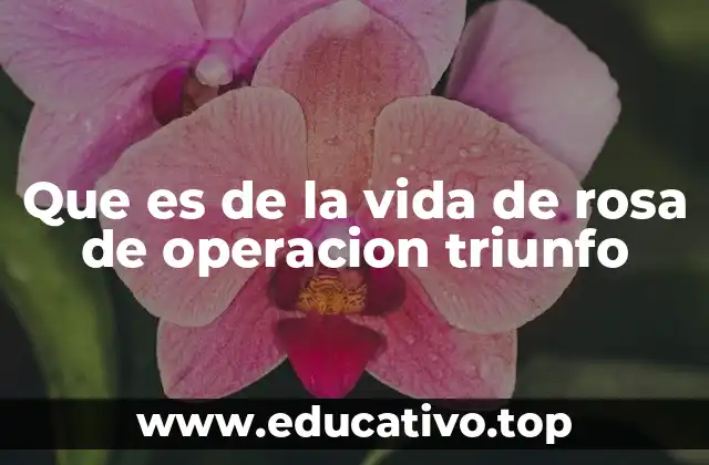 La evolución artística de una de las figuras más icónicas de OT