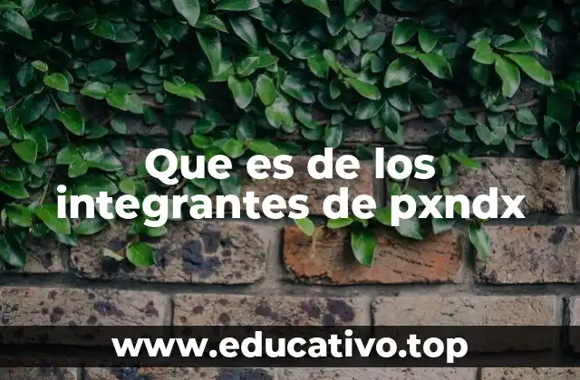Que es de los integrantes de pxndx