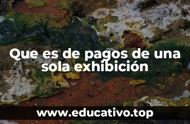 Que es de pagos de una sola exhibición