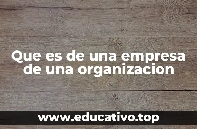 Que es de una empresa de una organizacion