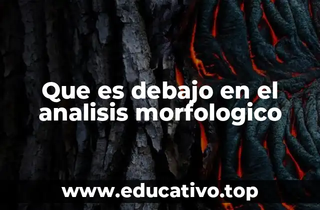 Que es debajo en el analisis morfologico