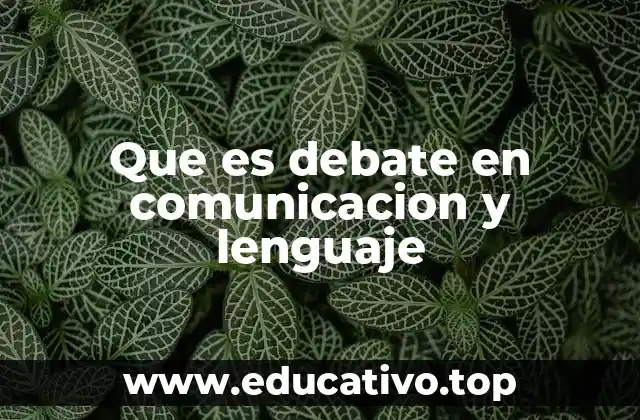 Que es debate en comunicacion y lenguaje