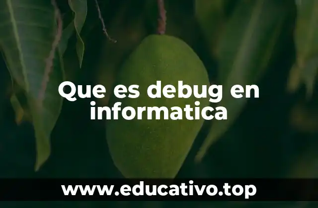 Que es debug en informatica