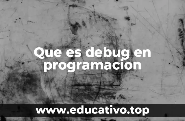 Que es debug en programacion