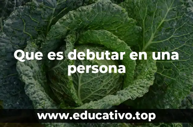 Que es debutar en una persona