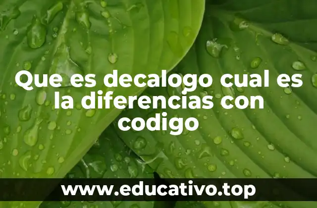 Que es decalogo cual es la diferencias con codigo