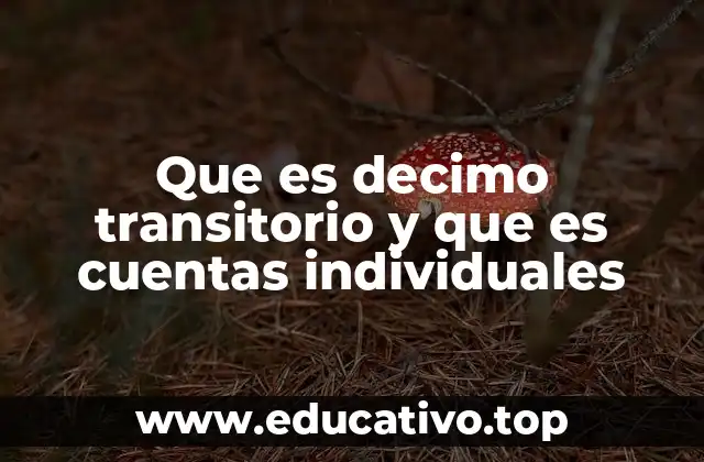 Que es decimo transitorio y que es cuentas individuales