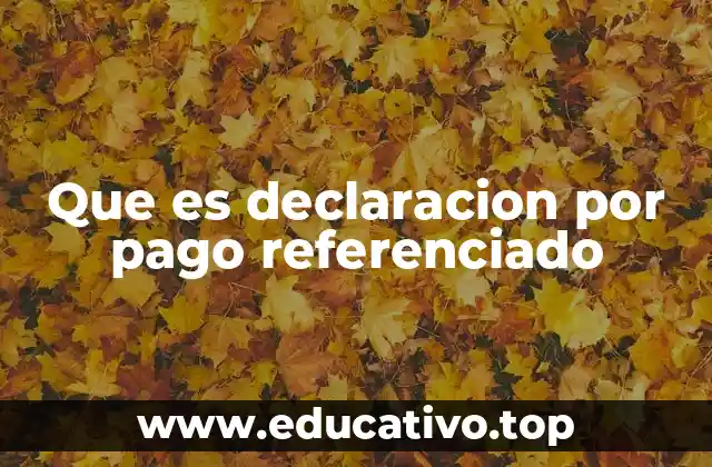 Que es declaracion por pago referenciado