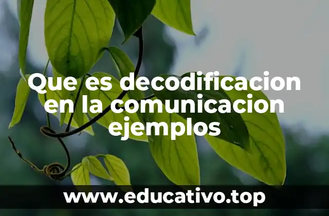Que es decodificacion en la comunicacion ejemplos
