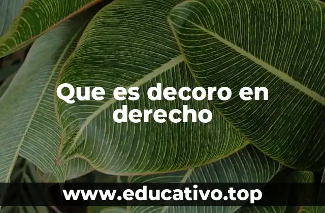 Que es decoro en derecho