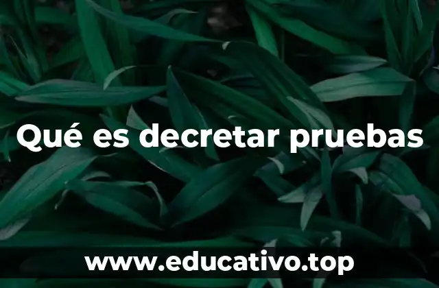 El rol de las pruebas en el proceso judicial