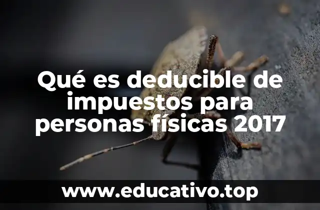 Qué es deducible de impuestos para personas físicas 2017