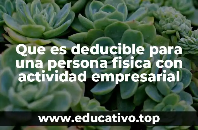 Que es deducible para una persona fisica con actividad empresarial