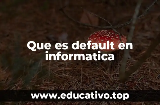 Que es default en informatica
