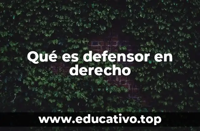 Qué es defensor en derecho