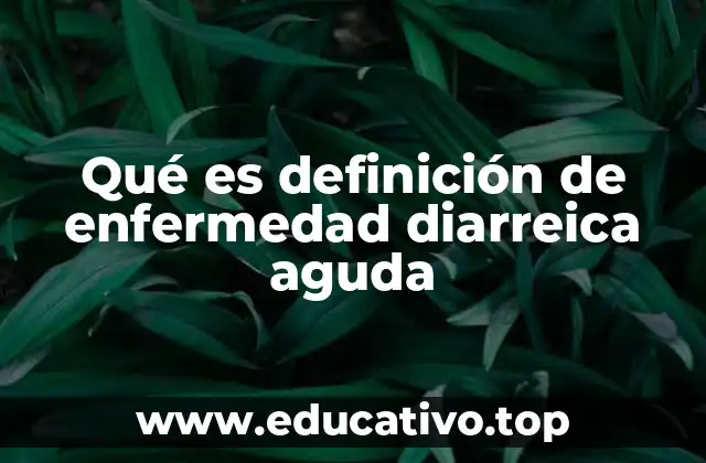 Qué es definición de enfermedad diarreica aguda