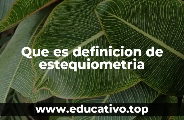 Que es definicion de estequiometria