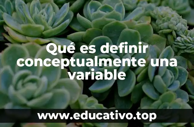Qué es definir conceptualmente una variable