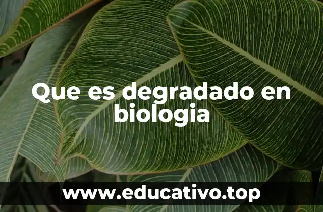 Que es degradado en biologia