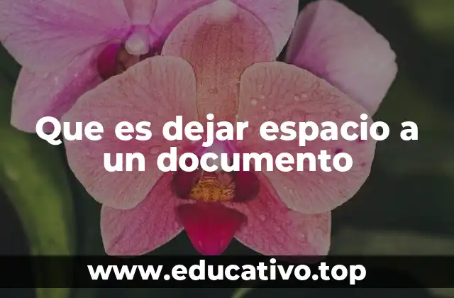 Que es dejar espacio a un documento