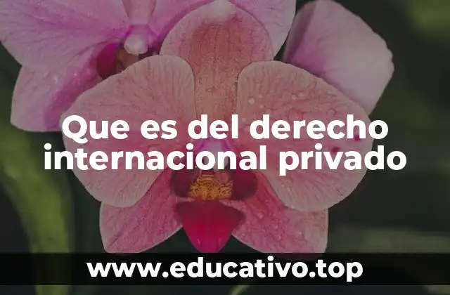 Que es del derecho internacional privado