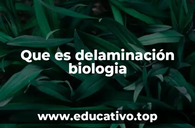 Que es delaminación biologia