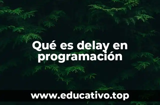 Qué es delay en programación