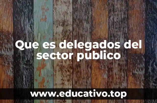 Que es delegados del sector publico
