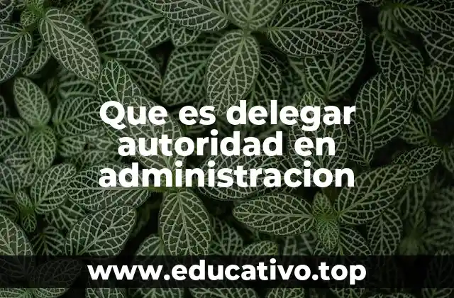 Que es delegar autoridad en administracion