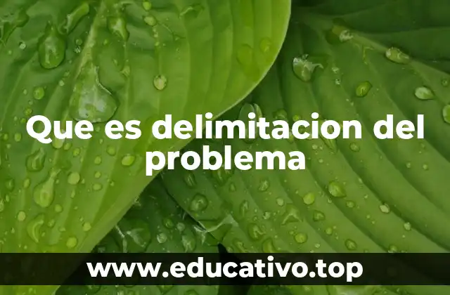 Que es delimitacion del problema