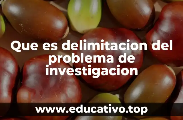 Que es delimitacion del problema de investigacion