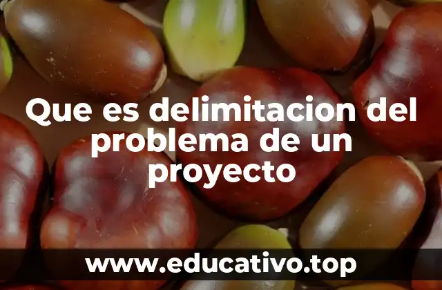 Que es delimitacion del problema de un proyecto
