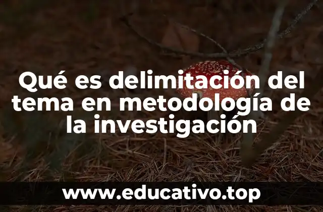 Qué es delimitación del tema en metodología de la investigación