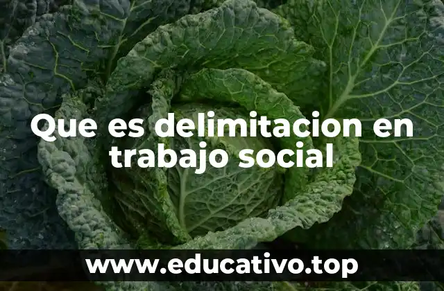 Que es delimitacion en trabajo social