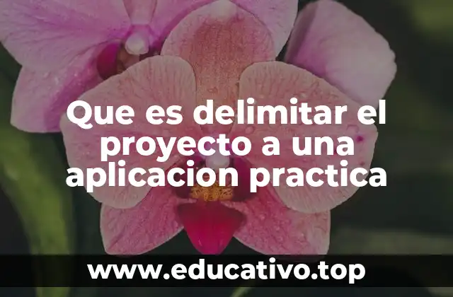 Que es delimitar el proyecto a una aplicacion practica