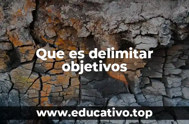 Que es delimitar objetivos