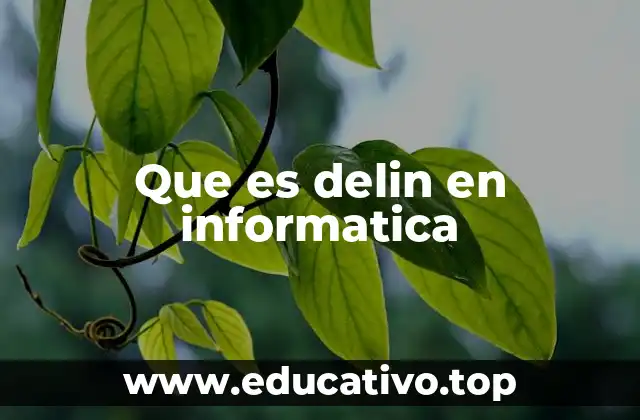 Que es delin en informatica