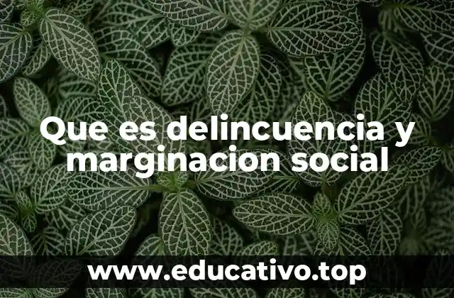Que es delincuencia y marginacion social