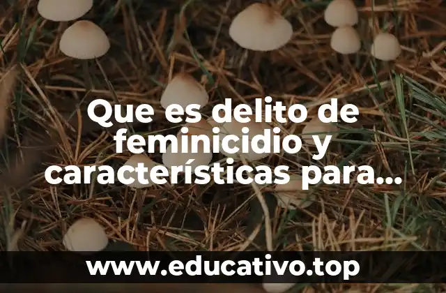 Que es delito de feminicidio y características para serlo