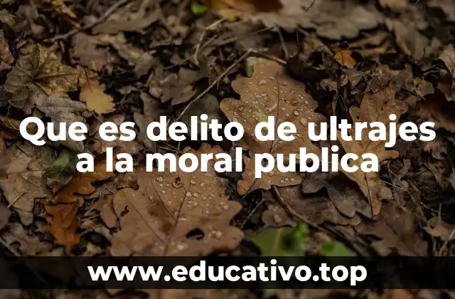 La relación entre la moral pública y el orden social